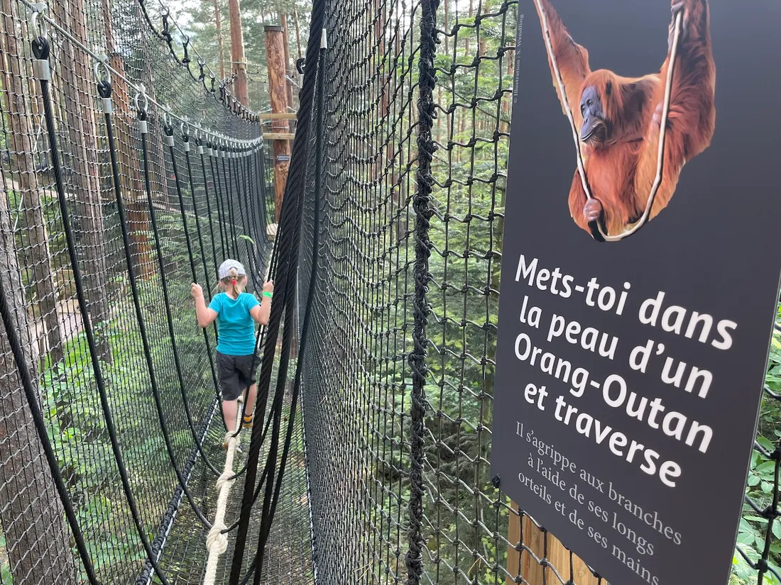 Le nouveau parcours est ouvert à la Montagne des singes