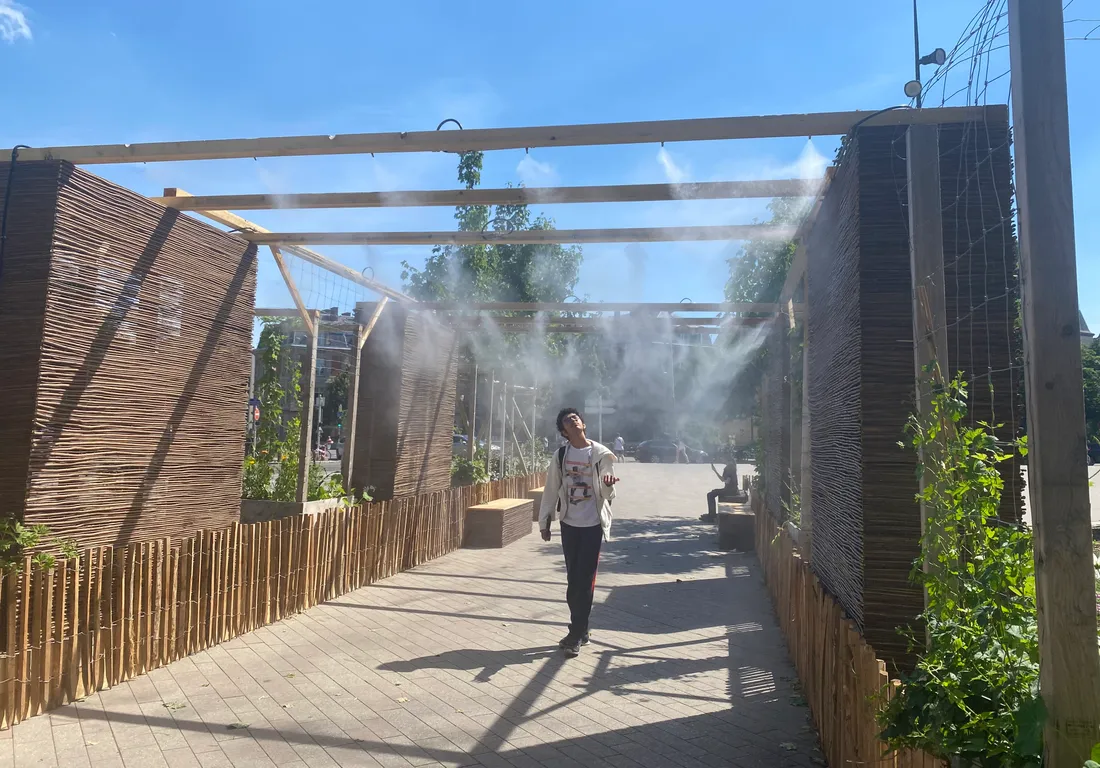 Cet été, quatre ilots de fraicheur vous attendent pour vous rafraichir à Strasbourg 