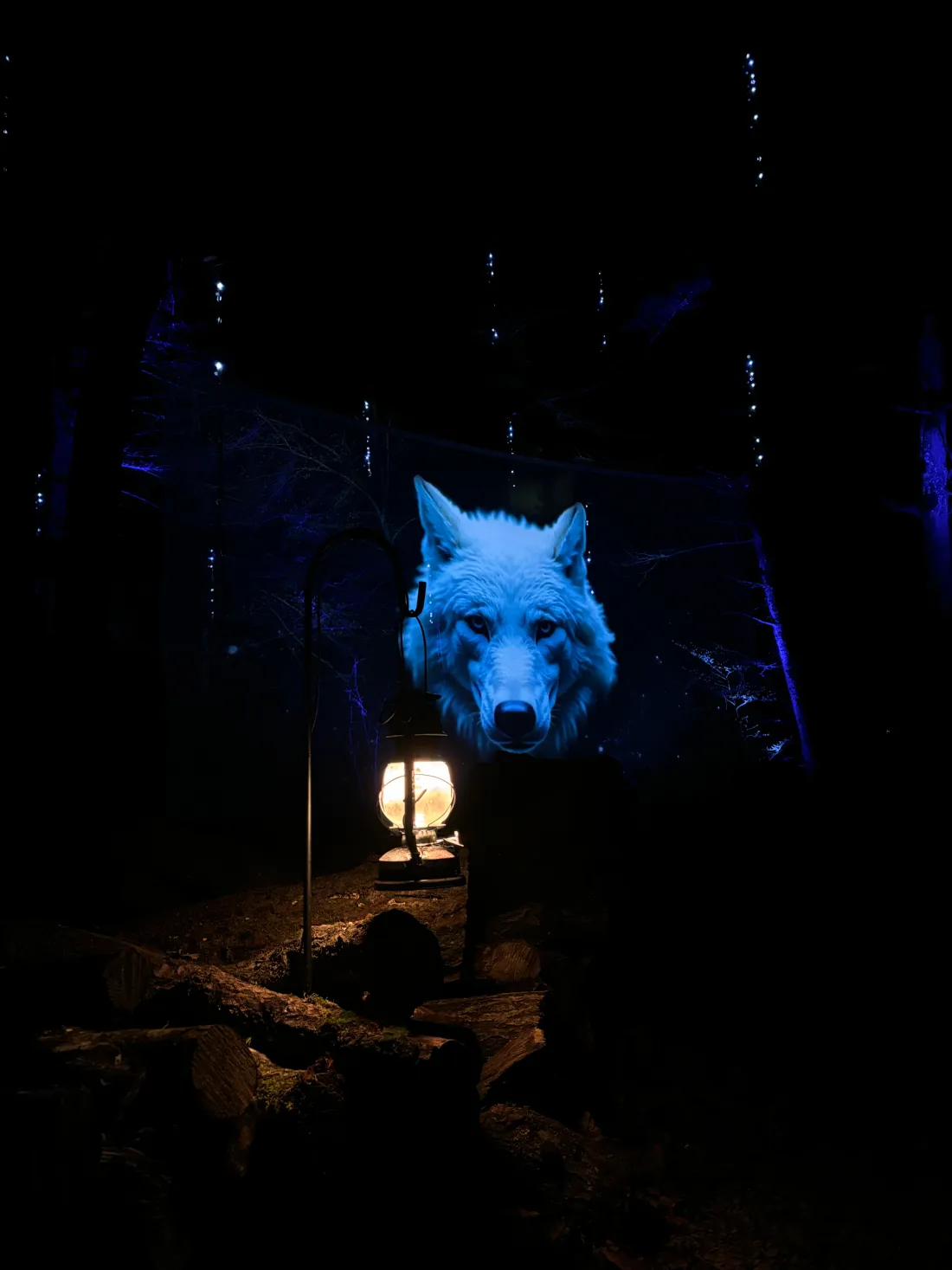  Amarok, l'esprit géant des loups