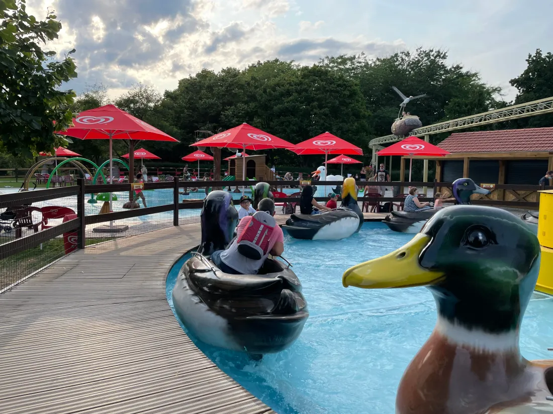 Cigoland accueille des cigognes toute l'année mais pour les visiteurs il faudra attendre fin mars