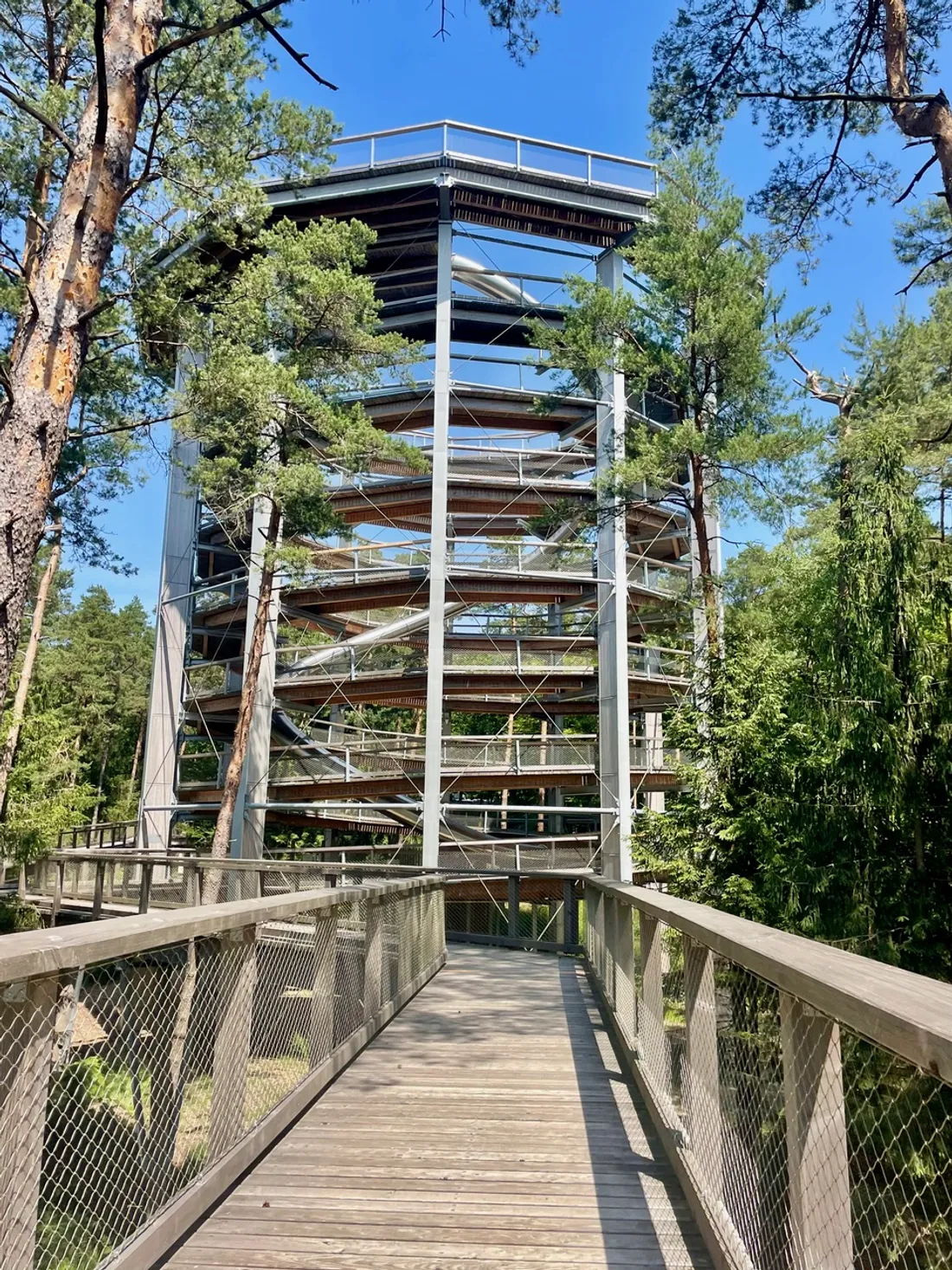 Le Chemin des Cimes d'Alsace est ouvert cet été