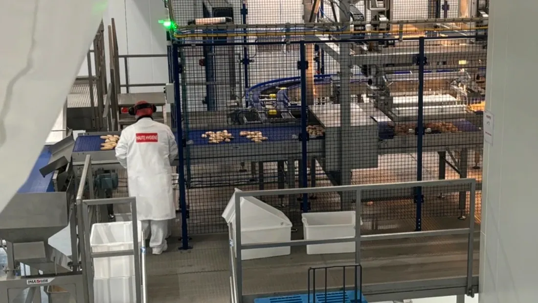 Chez Umiami, on produit près de 15 000 filets végétaux par heure.