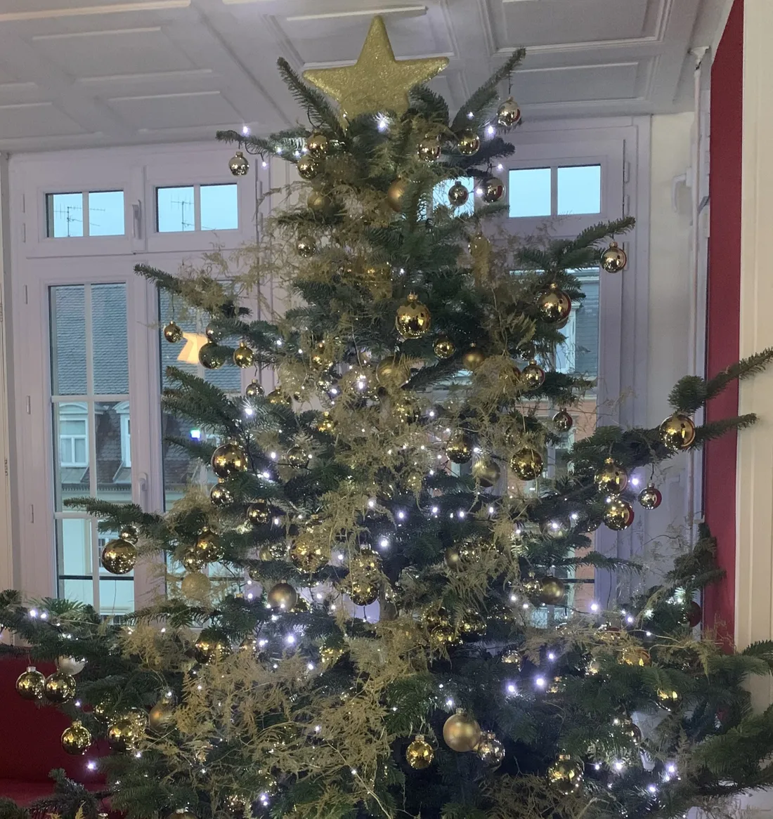 Cette année, le thème du sapin du studio c'est l'or !