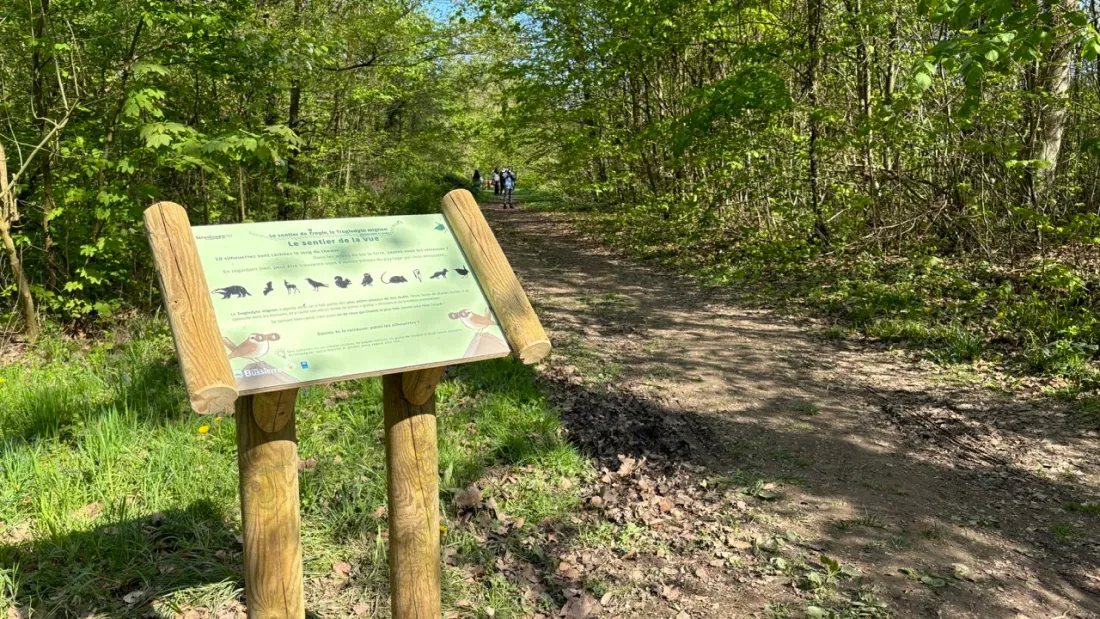Un sentier pour bébés a été inauguré au parc du Pourtalès.