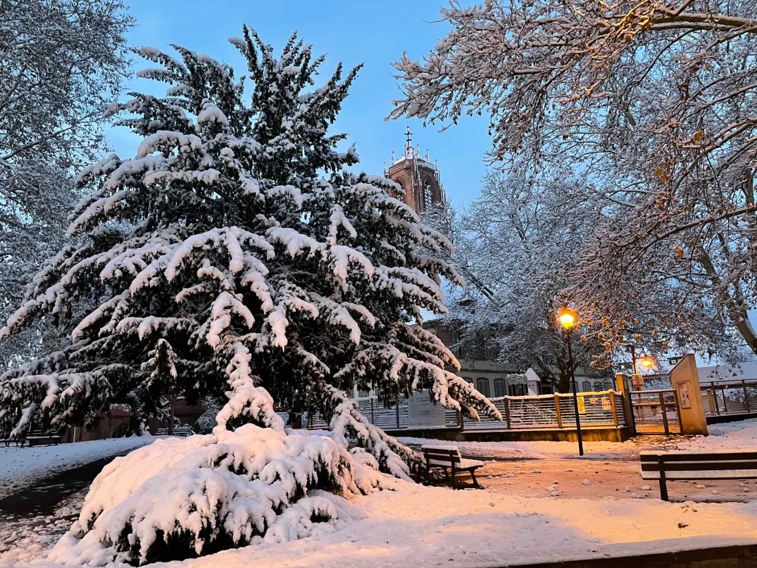 La neige met tout de suite une autre ambiance dans les villes