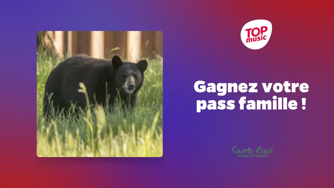 Gagnez un pass famille pour le Parc animalier de Sainte Croix !