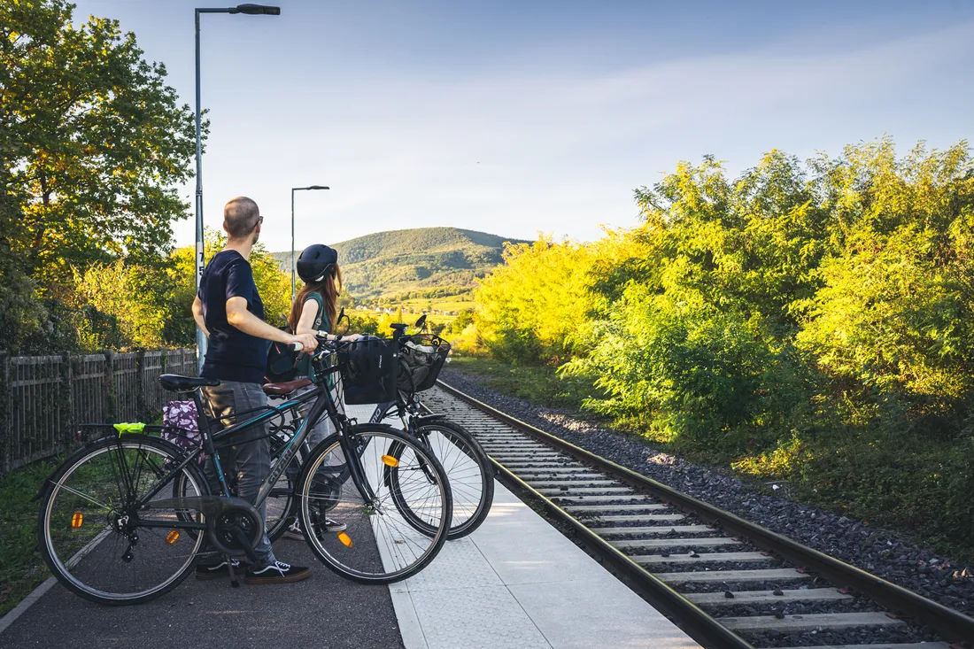 La Com Com du Pays de Barr va proposer une aide pour l'achat d'un vélo