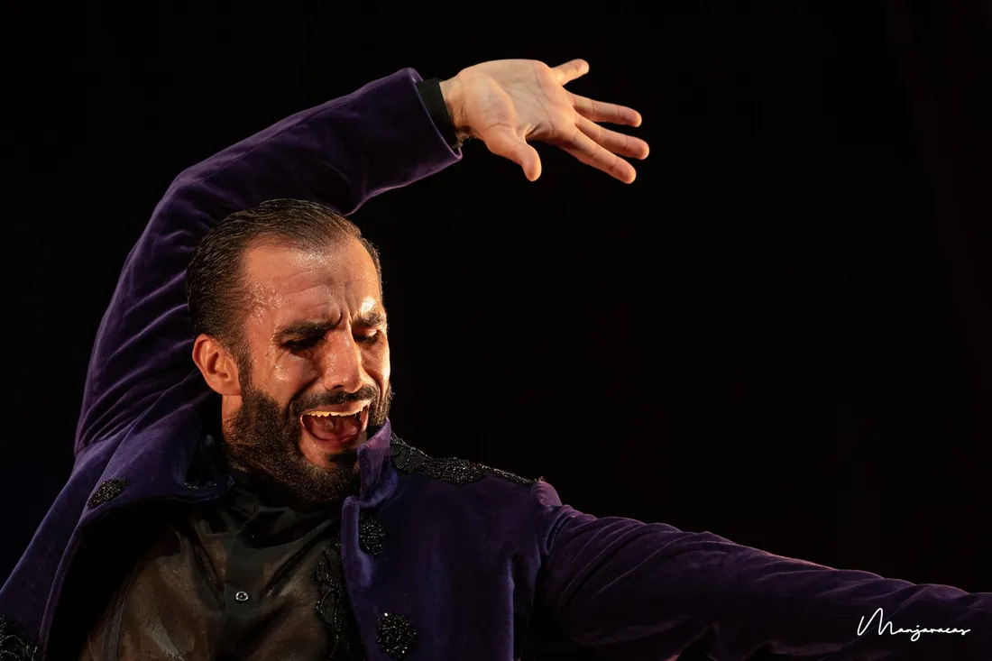 Compagnie Rafael Ramirez