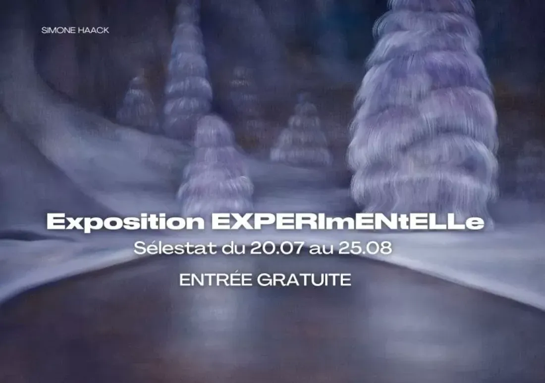 Une invitation à l’art : EXPERImENtELLe 2024