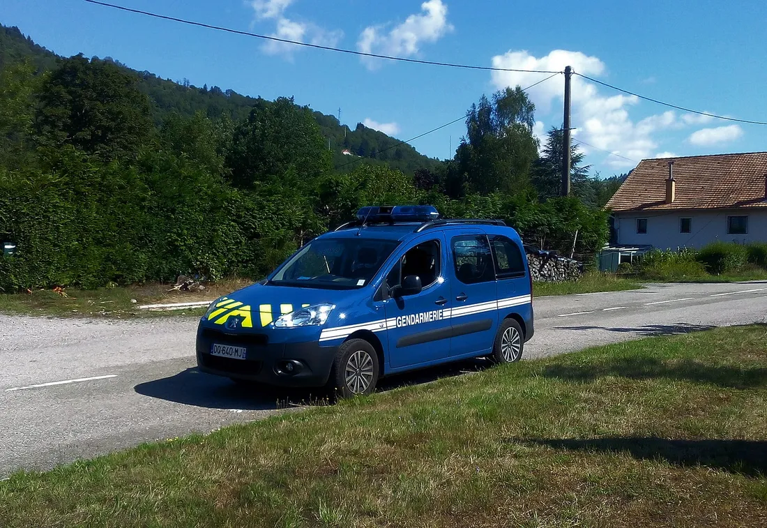 C'est dans la forêt de Wittelsheim qu'un nouveau né a été découvert seul 