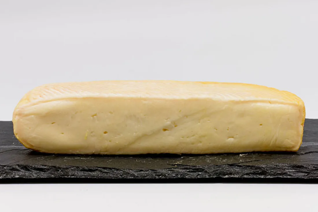 Une nouvelle campagne de communication pour le munster 