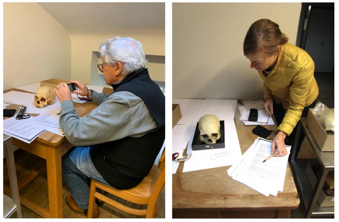 Université Strasbourg