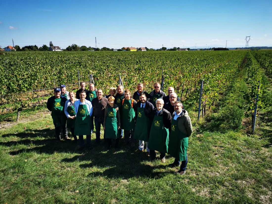 Vendanges Conviviales