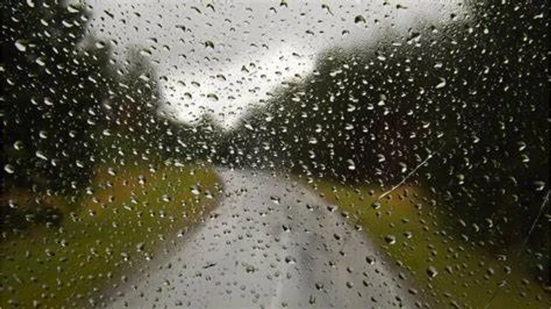 Un fort coup de vent est attendu dès mercredi soir en Alsace