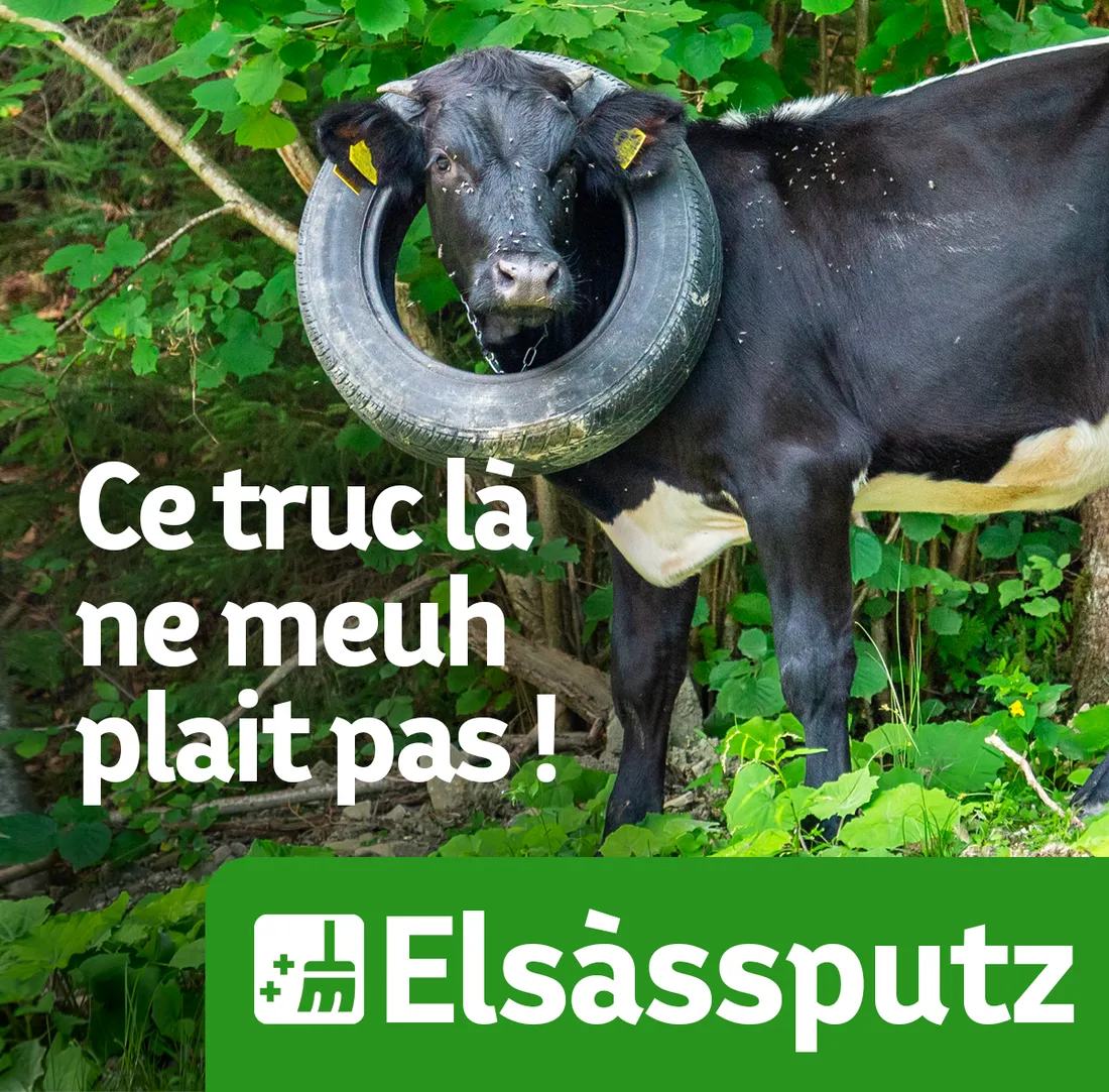 L'Elsassputz 2023 débute ce vendredi 31 mars