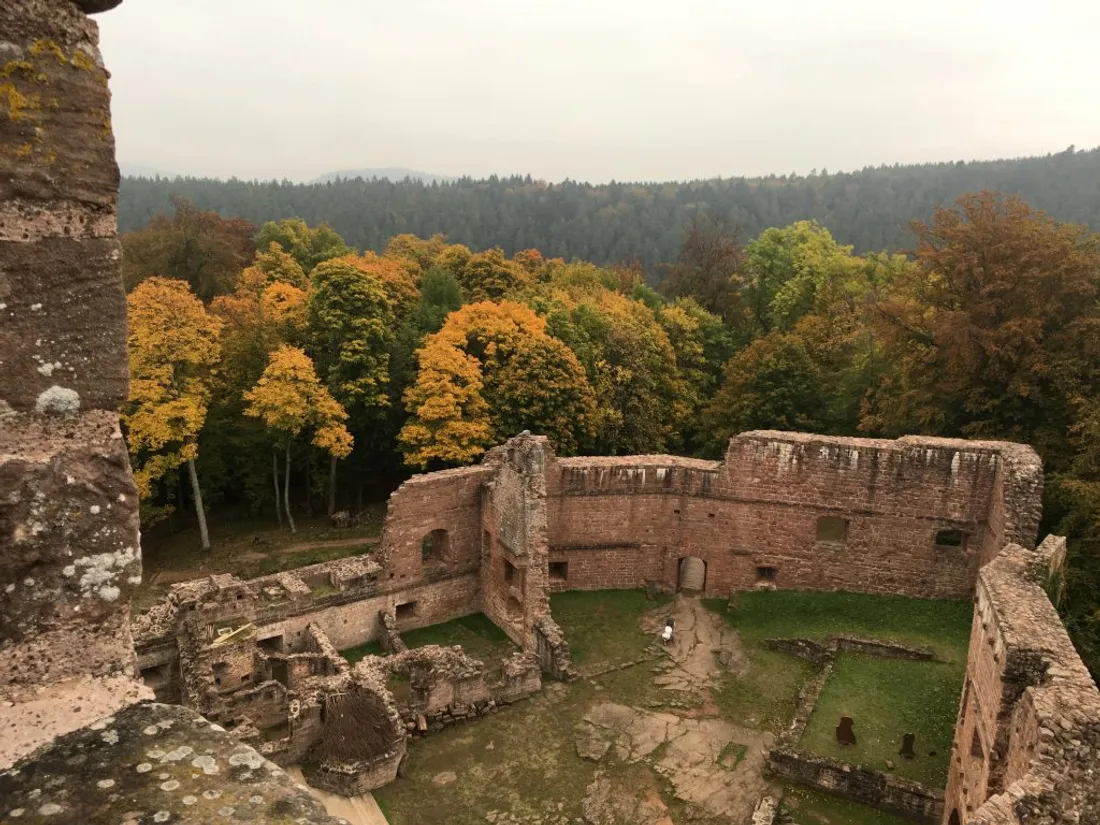Le château du Wangenbourg