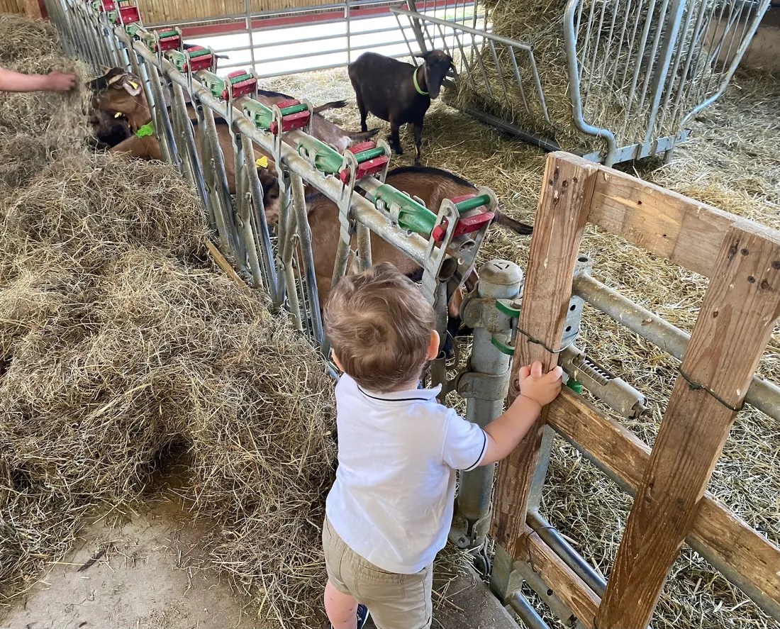 Chevrerie Lutzelhouse