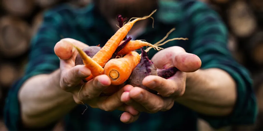 Le premier salon bio de Mulhouse ouvrira ses portes vendredi matin