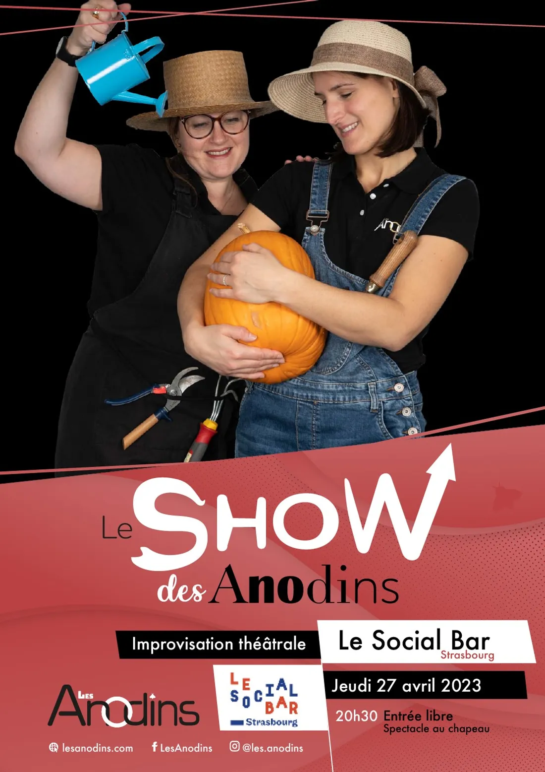 Le show des Anodins au Social Bar  