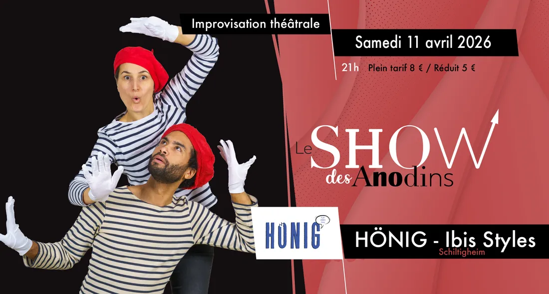 Le Show des Anodins au Hönig Ibis Styles