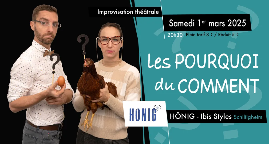 Les Anodins se creusent le ciboulot ! Improvisation théâtrale