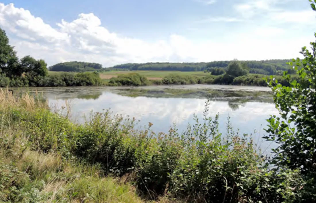 Les lauréats Alsaciens du programme Patrimoine naturel et biodiversité 2026