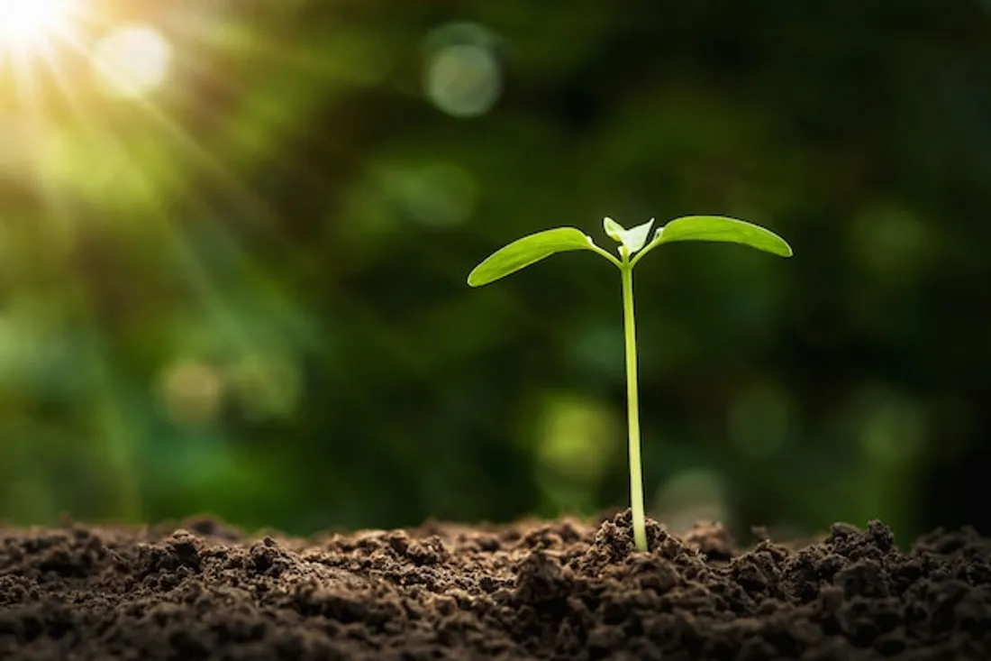 On l'attendait : la chaleur est de retour