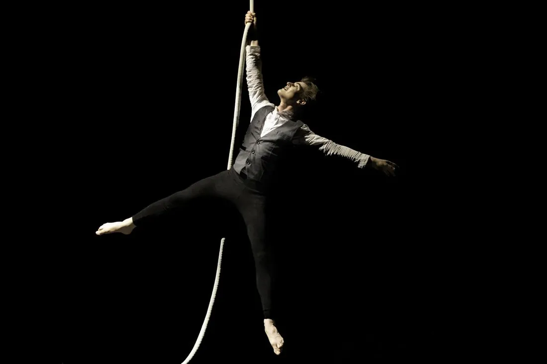 Éveil Ladder Art Company