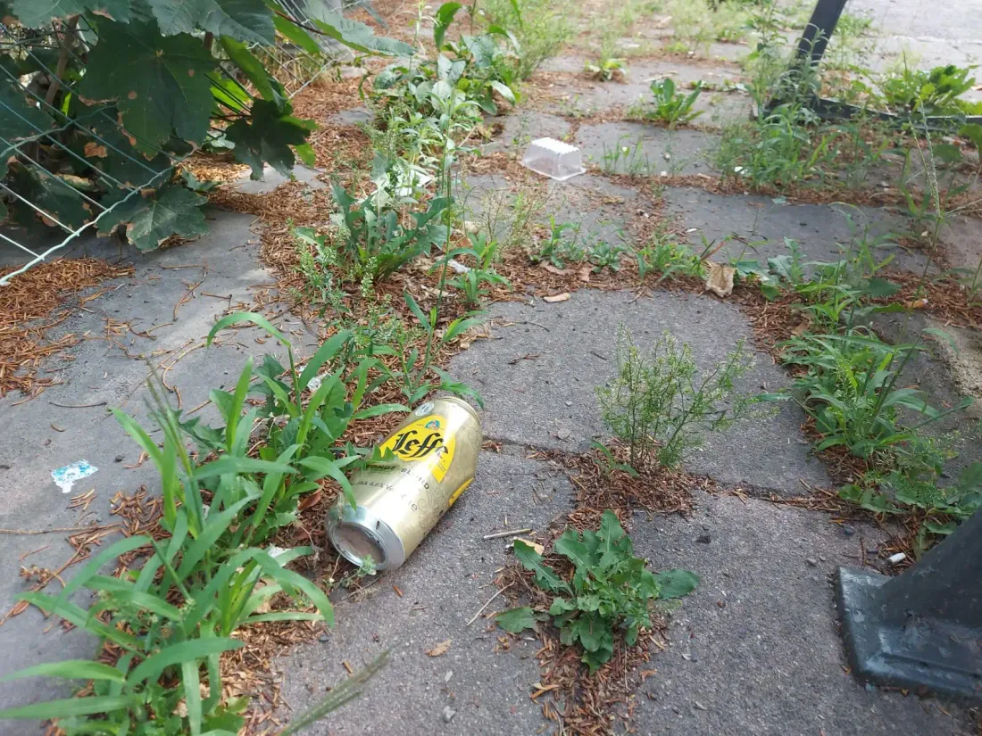 Strasbourg durcit les sanctions contre la pollution urbaine