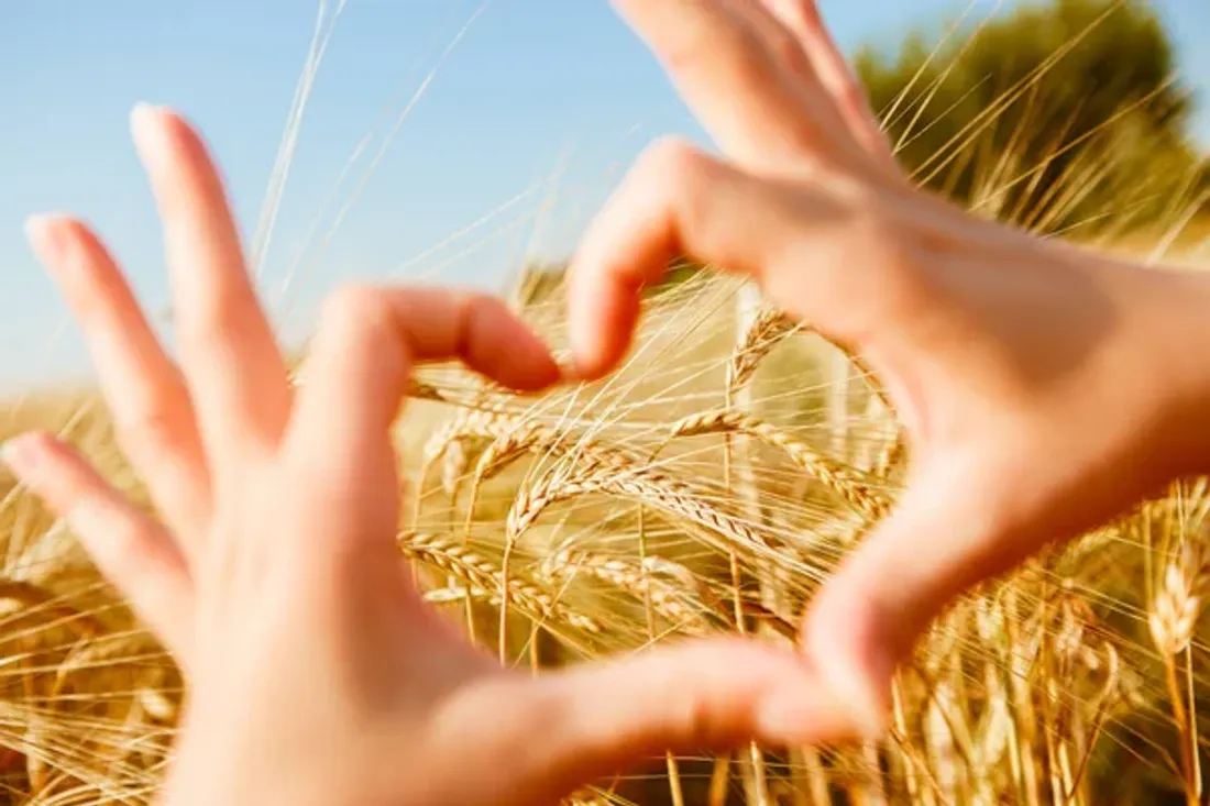 Un coeur à prendre ? 
