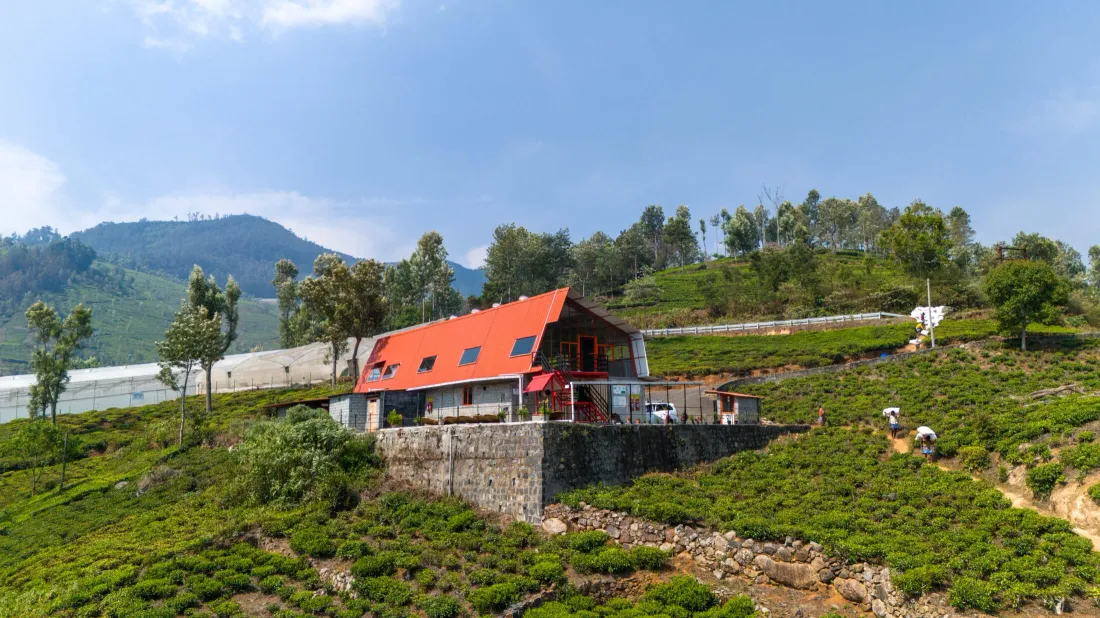 Le Tea Studio est situé en Inde du Sud