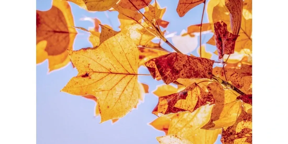 Une météo de plein été en automne