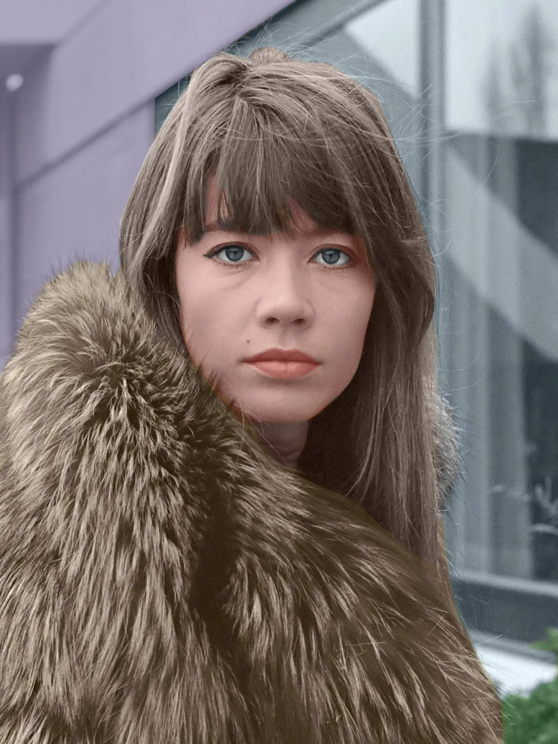 Françoise Hardy est décédée ce mardi 11 juin 2024.