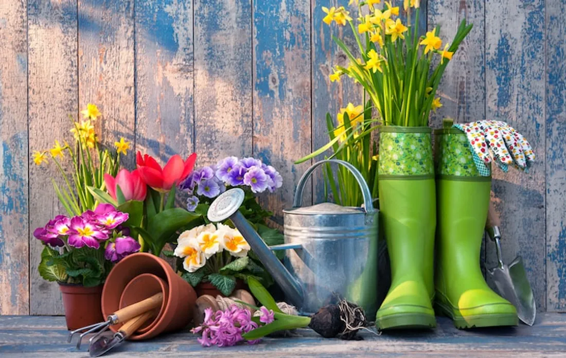 Le "réveil" du jardin, ça fait du bien !