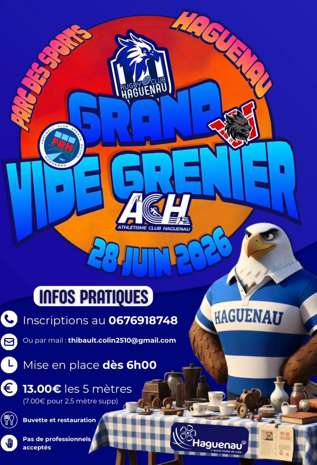 Grand vide grenier à Haguenau