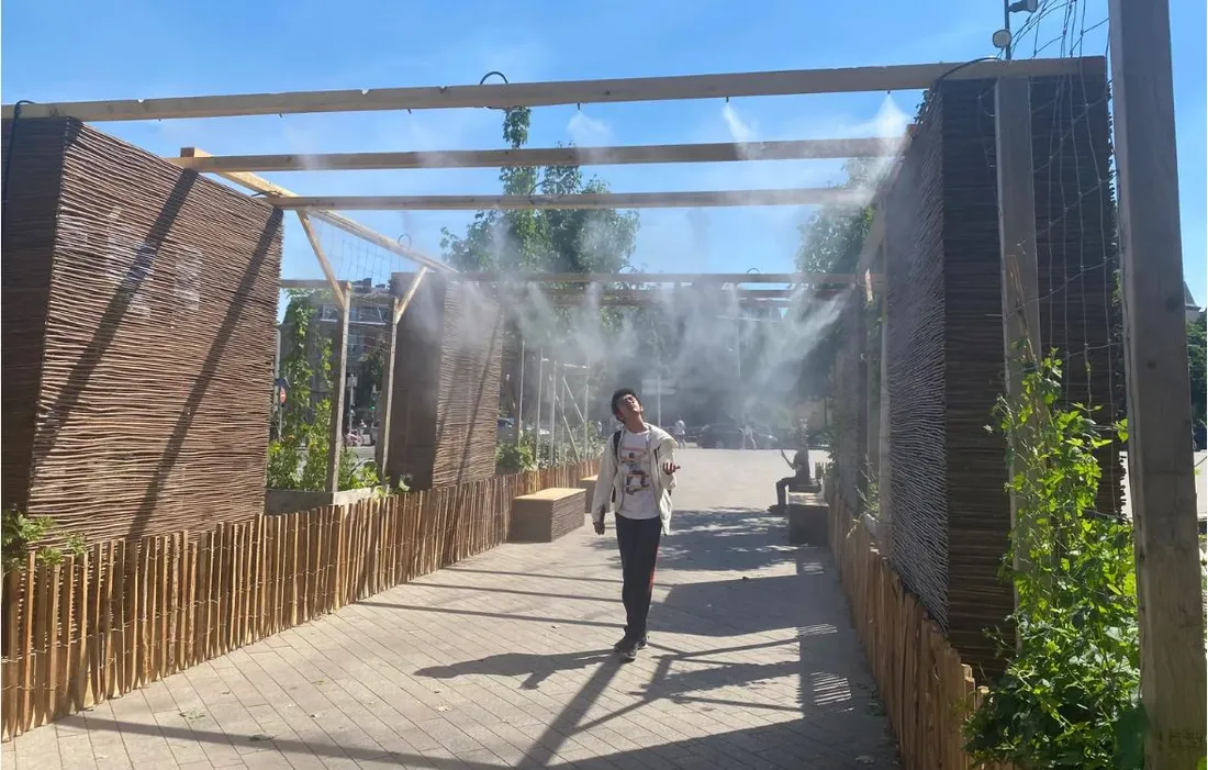 Un îlot de fraîcheur, place du Tribunal à Strasbourg