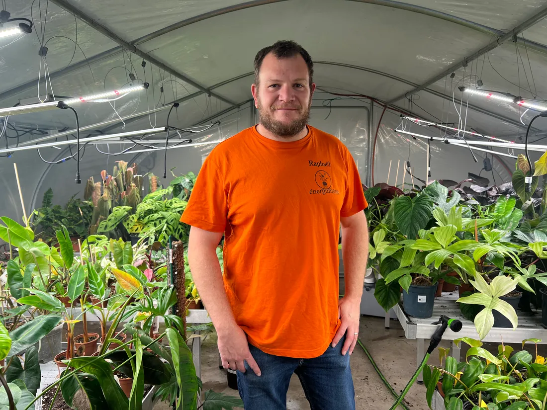 Raphaël Nils est le gérant de la société "Energumène" 