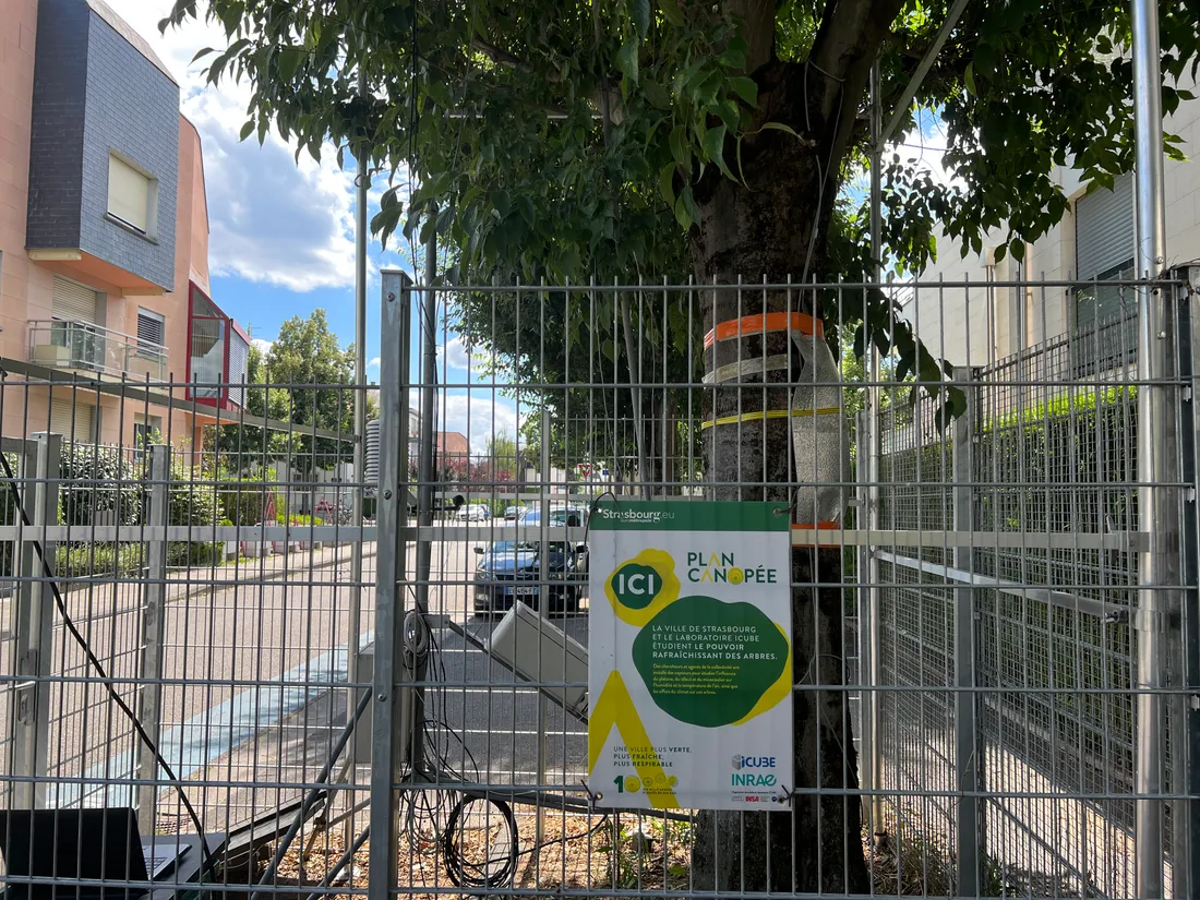 Etude menée en France