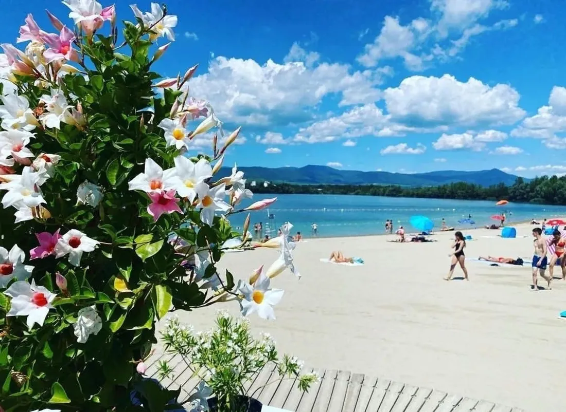 L'enfant nageait dans la zone de baignade surveillée