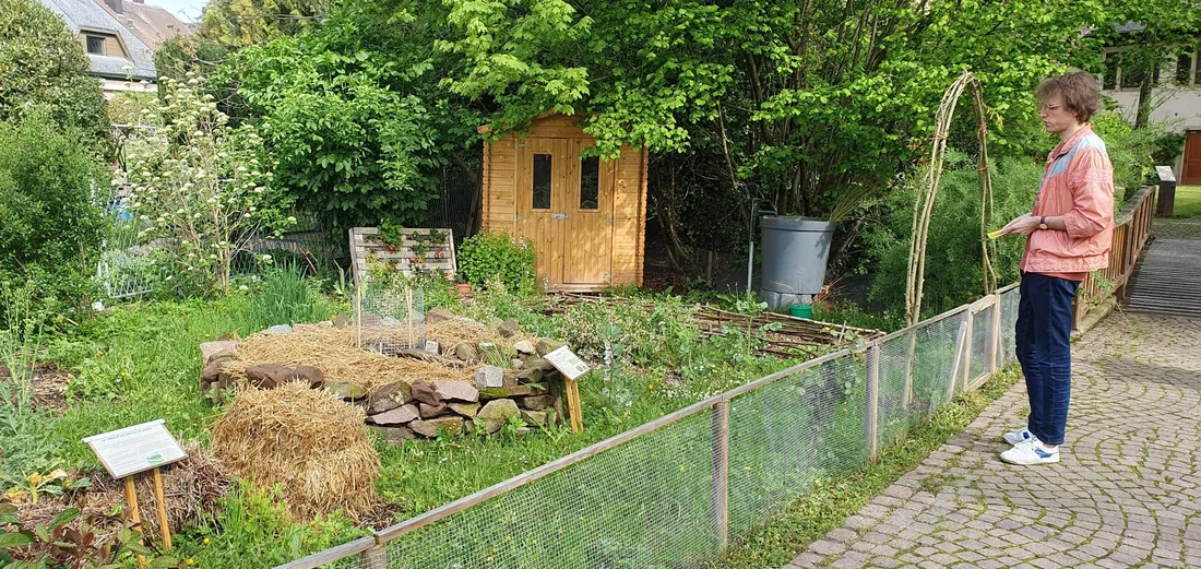 48h de l'agriculture urbaine