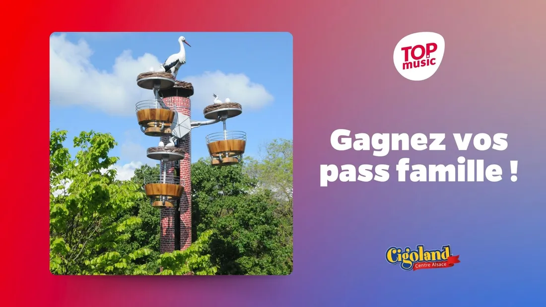 Gagnez vos pass famille pour Cigoland !