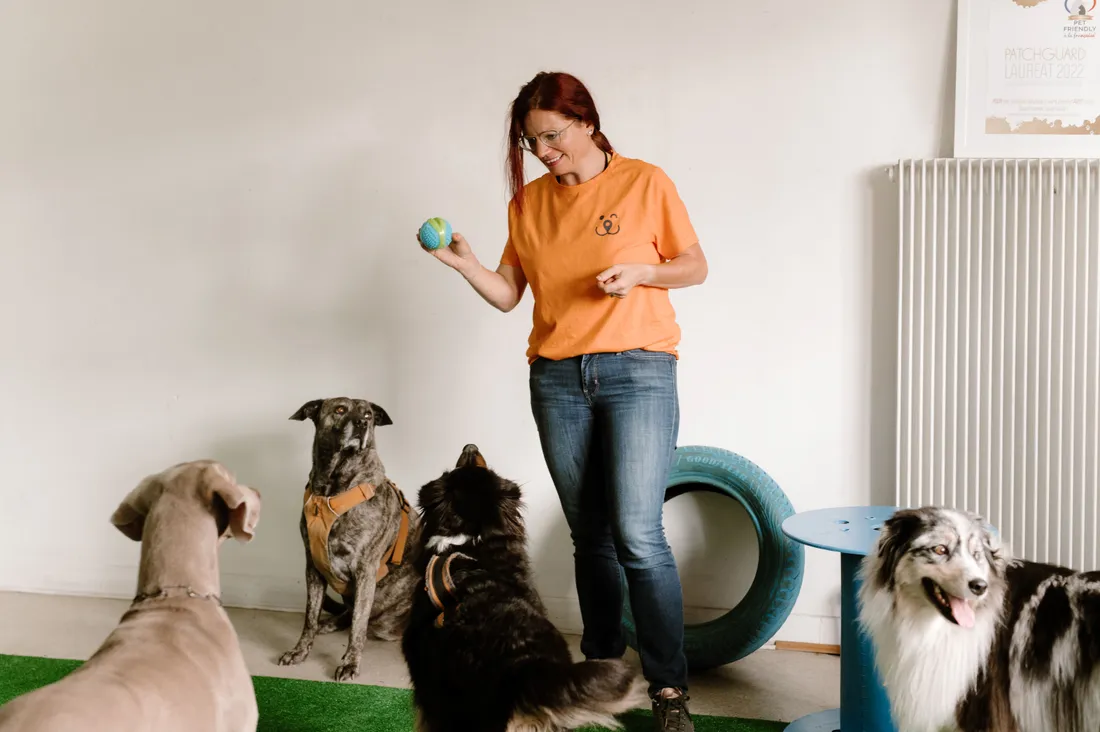 Strasbourg : une garde ponctuelle de votre chien