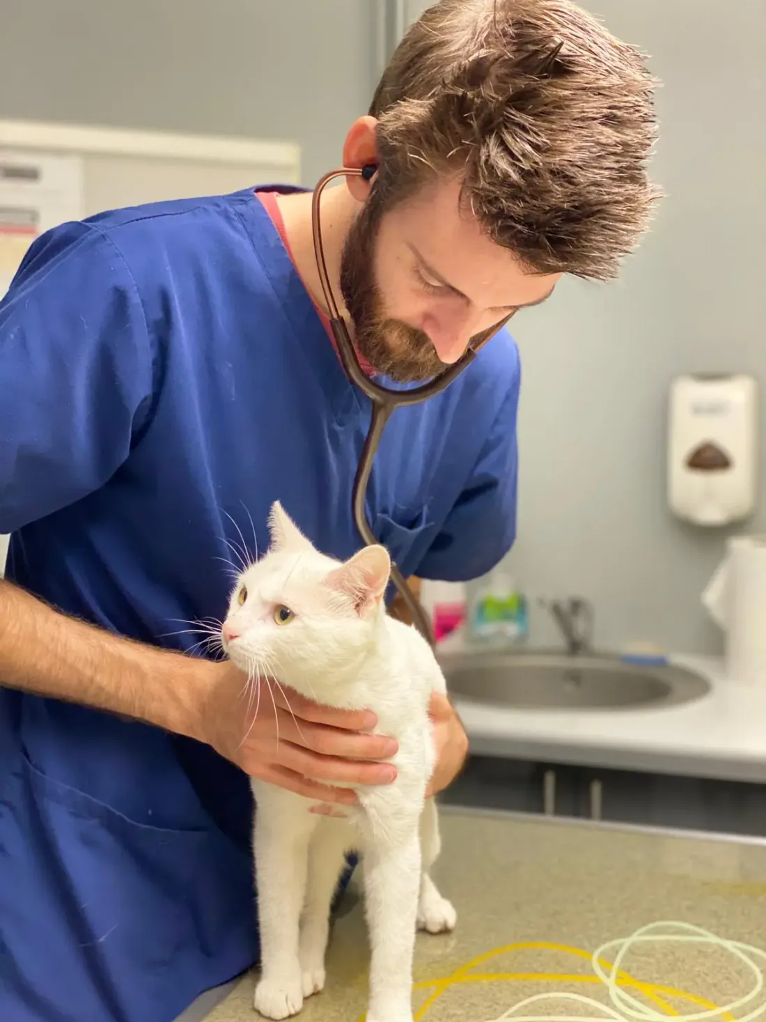 Guillaume Bureau, vétérinaire du nouveau centre de garde.