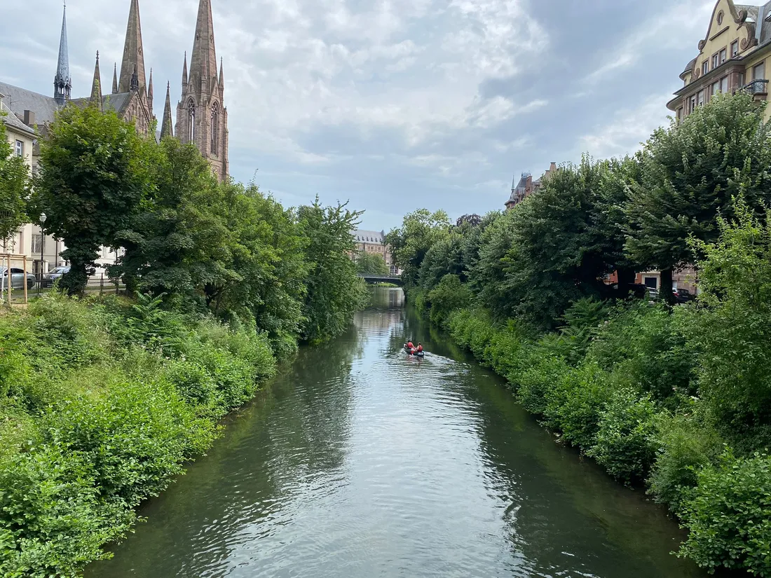 L'Ill, qui serpente dans Strasbourg, est plus dangereuse qu'il n'y paraît