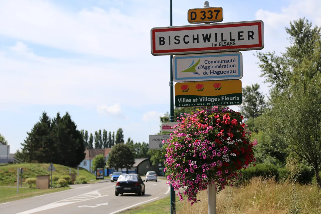 Les femmes à l'honneur : votez pour le nom des rues à Bischwiller