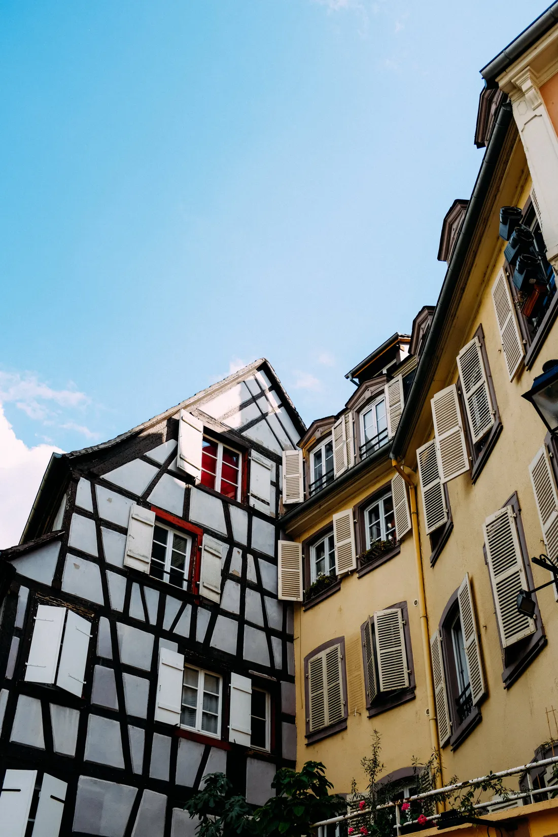 L'intervention de Stéphane Bern est un soutien de taille pour l'ASMA.