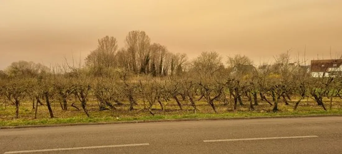 Le ciel alsacien se teinte de jaune et d'orange