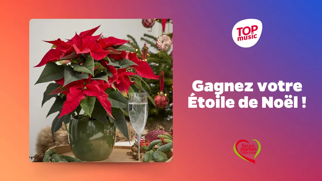 etoile de noel