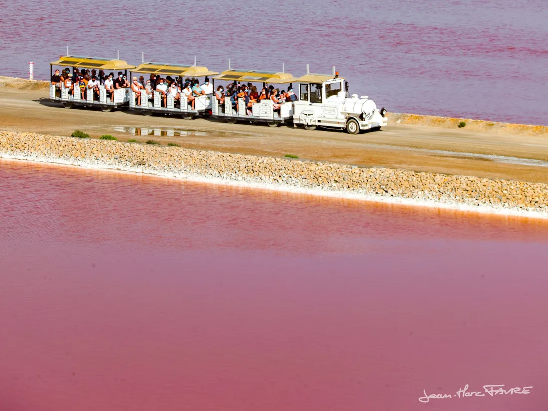 salins aigues mortes