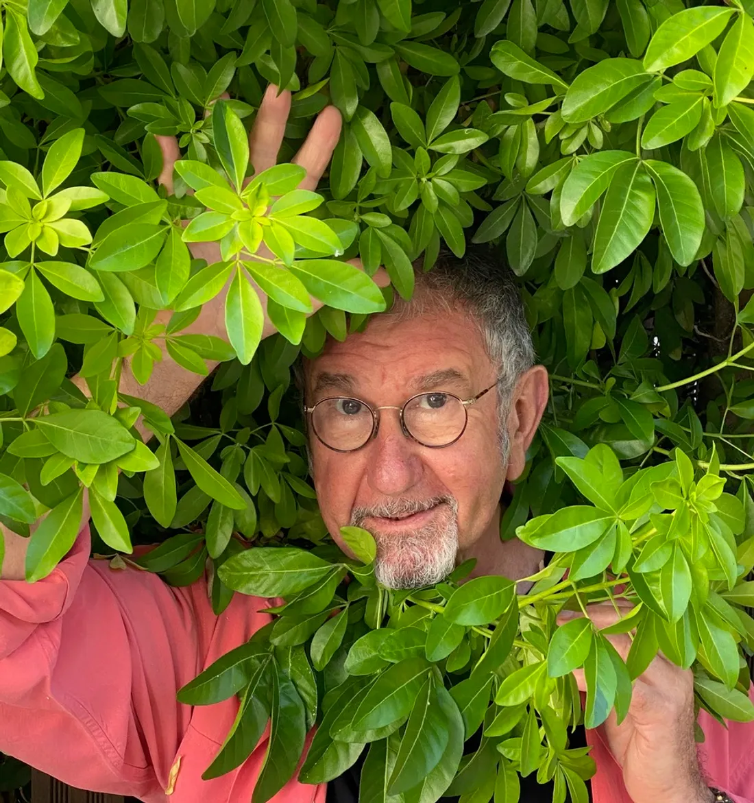 Gotainer ramene sa phrase